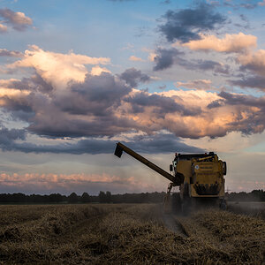 Landwirtschaft (1 von 11)