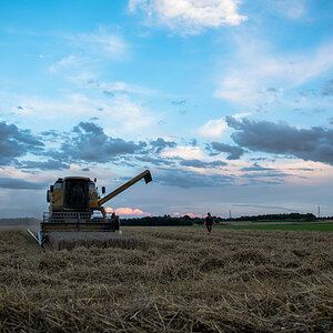 Landwirtschaft (4 von 11)