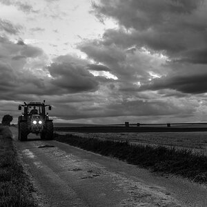 Landwirtschaft (5 von 11)