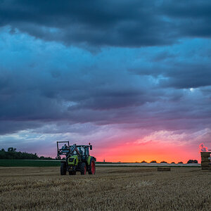 Landwirtschaft (6 von 11)