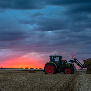 Landwirtschaft (7 von 11)