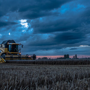 Landwirtschaft (8 von 11)