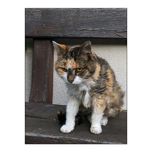 busiIMG 0849