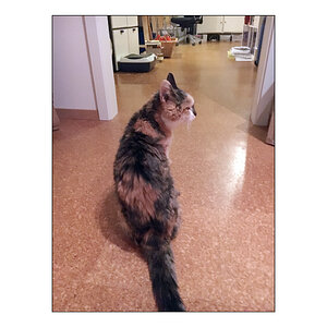 BusiIMG 0853 (1)