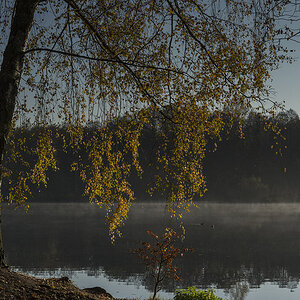 herbst 7