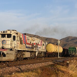 s514 Nogööntolgoi DASH7 001 2Zagal 005AD81 2165