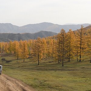 s523 UAZ Lärchen 2276