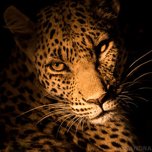 Botswana 2017 SPE 05756