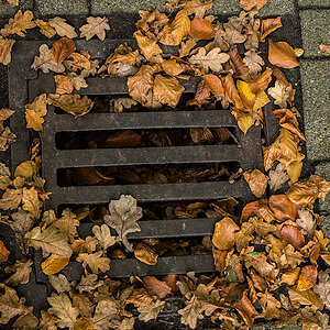 Herbstgully