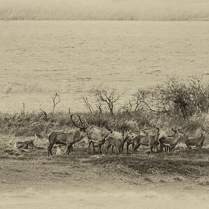 comp 20170912 DSC 6418 Bearbeitet