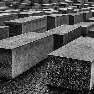 Holocaust