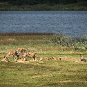 comp 20170912 DSC 6425 21