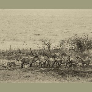 comp 20170912 DSC 6418 Bearbeitet1