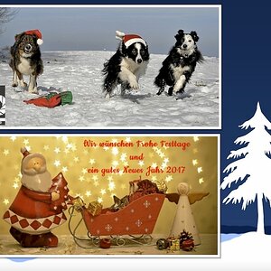 Frohe Festtage 2016
