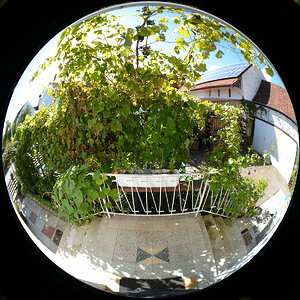 DSC 9451