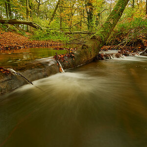 Herbst2