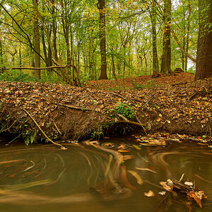 Herbst3