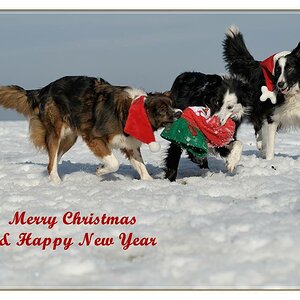 merrychristmas