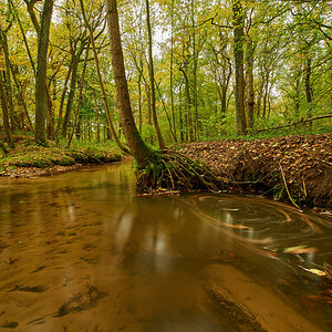 Herbst5