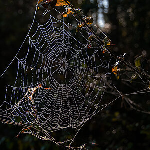 Herbstperlen 3