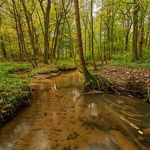 Herbst6