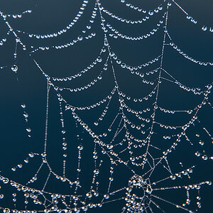 Herbstperlen 2