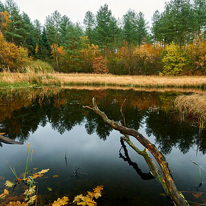 Herbst11