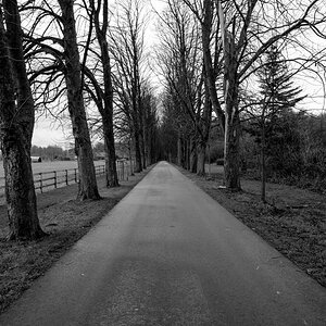 Allee Moormann Südkirchnerstr.  S W (1 von 1)