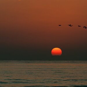 Oman 2017 2