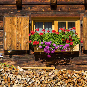 Fenster Almhütte