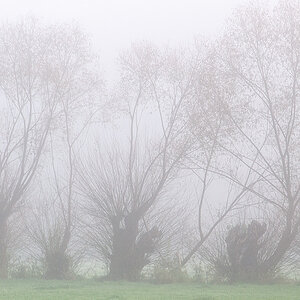 Oktobernebel 1