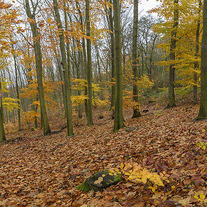 Unbenanntes Panorama1