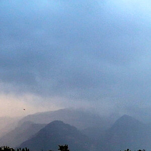 regen