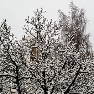 TZ 2018 01 18 12 35
