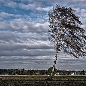 Stormy Wheather 2