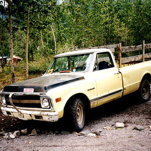 Alaska.nf.1