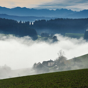 11F 8953 Bearbeitet