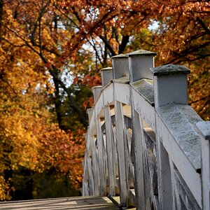 image 2017 10 18 (1)