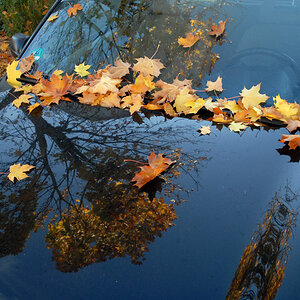 vw herbst  kl