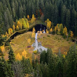 Ellbachsee Nordschwarzwald 2013 83588