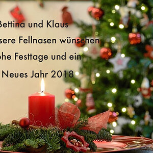 xmas 2017 back