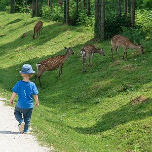 Tierpark