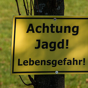 Jagd