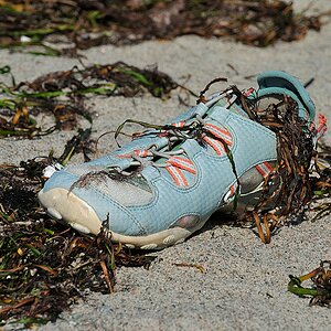 Dänemark Sportschuh 
(155) 01