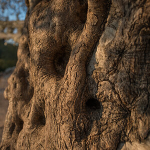 Pont du Gard 009