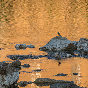 Pont du Gard 017 (1)