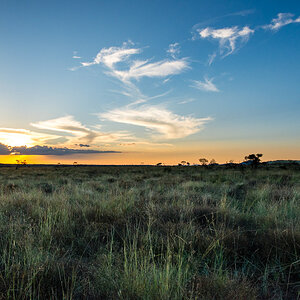 Pilanesberg National Park, South Africa
