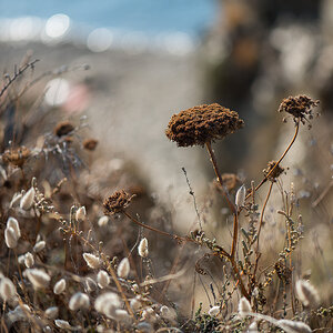 Landschaft 001