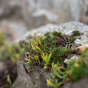 Landschaft 010