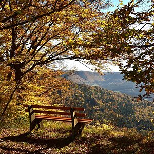 Albstadt Burgfelden Schw.Alb 2017 22382 01